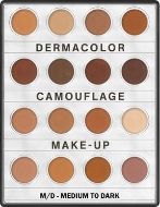Picture of DermaColor Mini Palette